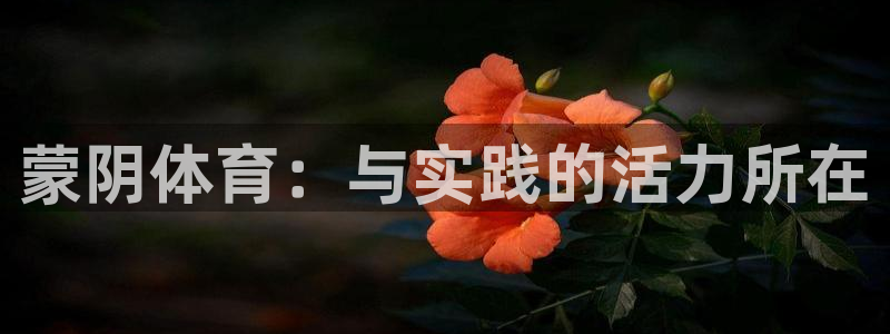 JJB竞技宝官网下载招商电话号码:蒙阴体育:与实践的活力所在