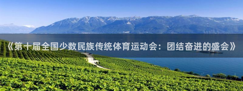 JJB竞技宝官网下载:《第十届全国少数民族传统体育运动会:团