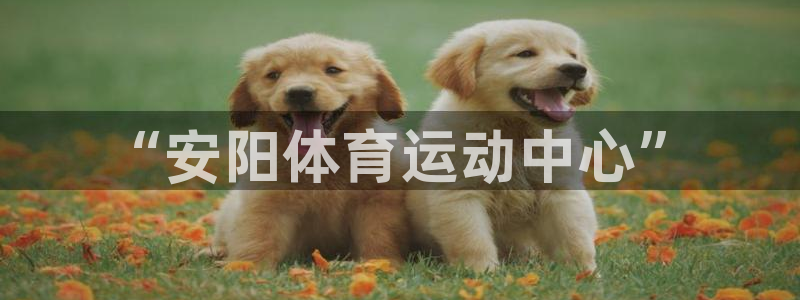 JJB竞技宝官方正版app五金厂:“安阳体育运动中心”